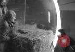 Immagine di Tempesta di neve Loch Eriboll Scotland Regno Unito, 1955, secondo 34 filmato di repertorio 65675037991