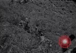 Image of Korean soldiers Korea, 1952, second 5 stock footage video 65675038015
