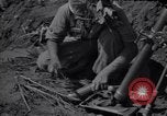 Image of Korean soldiers Korea, 1952, second 20 stock footage video 65675038015
