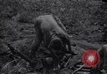 Image of Korean soldiers Korea, 1952, second 43 stock footage video 65675038015