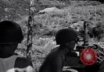 Image of Korean soldiers Korea, 1952, second 58 stock footage video 65675038015