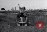 Image of Circus family on tightrope United States USA, 1950, second 5 stock footage video 65675038033