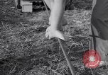 Image of Circus family on tightrope United States USA, 1950, second 23 stock footage video 65675038033
