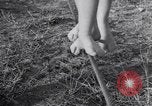 Image of Circus family on tightrope United States USA, 1950, second 26 stock footage video 65675038033