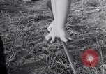 Image of Circus family on tightrope United States USA, 1950, second 27 stock footage video 65675038033