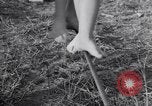 Image of Circus family on tightrope United States USA, 1950, second 28 stock footage video 65675038033