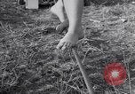 Image of Circus family on tightrope United States USA, 1950, second 29 stock footage video 65675038033