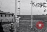 Image of Circus family on tightrope United States USA, 1950, second 48 stock footage video 65675038033