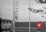 Image of Circus family on tightrope United States USA, 1950, second 50 stock footage video 65675038033
