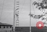 Image of Circus family on tightrope United States USA, 1950, second 51 stock footage video 65675038033