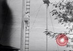 Image of Circus family on tightrope United States USA, 1950, second 52 stock footage video 65675038033