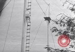 Image of Circus family on tightrope United States USA, 1950, second 54 stock footage video 65675038033