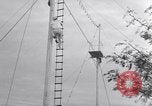 Image of Circus family on tightrope United States USA, 1950, second 55 stock footage video 65675038033