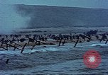 Image of American soldiers Normandy France, 1944, second 31 stock footage video 65675038037