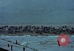 Image of American soldiers Normandy France, 1944, second 37 stock footage video 65675038037