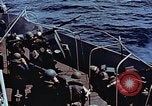Image of American forces going ashore after D-Day Normandy France, 1944, second 45 stock footage video 65675038038