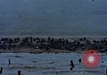 Image of American soldiers Normandy France, 1944, second 49 stock footage video 65675038039