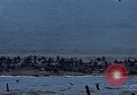 Image of American soldiers Normandy France, 1944, second 50 stock footage video 65675038039