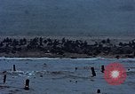 Image of American soldiers Normandy France, 1944, second 52 stock footage video 65675038039
