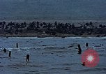 Image of American soldiers Normandy France, 1944, second 53 stock footage video 65675038039
