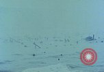 Image of Normandy invasion landing Normandy France, 1944, second 21 stock footage video 65675038040