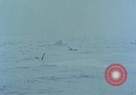 Image of Normandy invasion landing Normandy France, 1944, second 24 stock footage video 65675038040