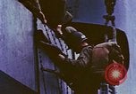 Image of D-Day casualties Normandy France, 1944, second 29 stock footage video 65675038041