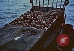 Image of D-Day casualties Normandy France, 1944, second 30 stock footage video 65675038041