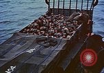 Image of D-Day casualties Normandy France, 1944, second 31 stock footage video 65675038041