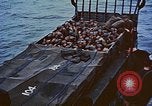 Image of D-Day casualties Normandy France, 1944, second 32 stock footage video 65675038041