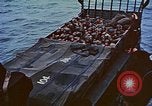 Image of D-Day casualties Normandy France, 1944, second 33 stock footage video 65675038041