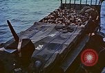 Image of D-Day casualties Normandy France, 1944, second 34 stock footage video 65675038041