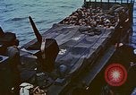 Image of D-Day casualties Normandy France, 1944, second 35 stock footage video 65675038041