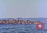 Image of D-Day casualties Normandy France, 1944, second 62 stock footage video 65675038041