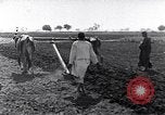 Image of farmer Egypt, 1945, second 4 stock footage video 65675038043
