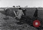 Image of farmer Egypt, 1945, second 5 stock footage video 65675038043
