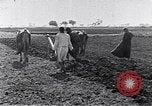 Image of farmer Egypt, 1945, second 6 stock footage video 65675038043