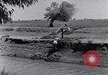 Image of farmer Egypt, 1945, second 11 stock footage video 65675038043