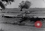 Image of farmer Egypt, 1945, second 12 stock footage video 65675038043
