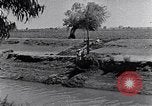 Image of farmer Egypt, 1945, second 13 stock footage video 65675038043