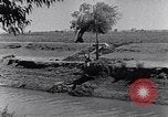 Image of farmer Egypt, 1945, second 14 stock footage video 65675038043