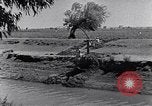 Image of farmer Egypt, 1945, second 15 stock footage video 65675038043