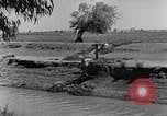 Image of farmer Egypt, 1945, second 16 stock footage video 65675038043