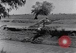 Image of farmer Egypt, 1945, second 17 stock footage video 65675038043