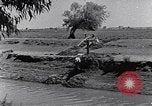 Image of farmer Egypt, 1945, second 18 stock footage video 65675038043