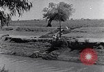 Image of farmer Egypt, 1945, second 20 stock footage video 65675038043