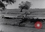 Image of farmer Egypt, 1945, second 21 stock footage video 65675038043