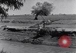 Image of farmer Egypt, 1945, second 22 stock footage video 65675038043