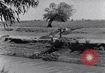Image of farmer Egypt, 1945, second 23 stock footage video 65675038043
