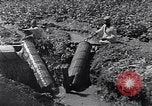 Image of farmer Egypt, 1945, second 25 stock footage video 65675038043